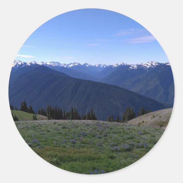 Hurricane Ridge Olympic Nat'l Park round sticker (Front)