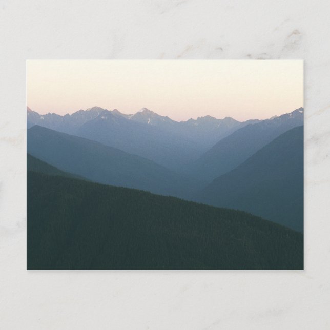 Hurricane Ridge Postcard (Front)