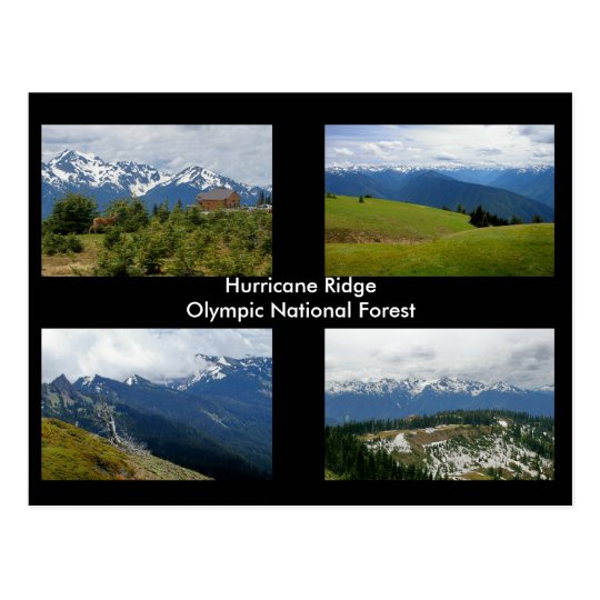 Hurricane Ridge postcard