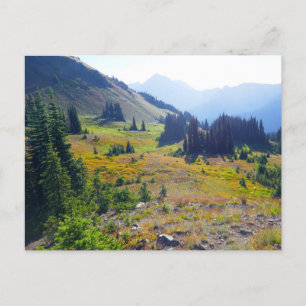 Hurricane Ridge Trail Postcard
