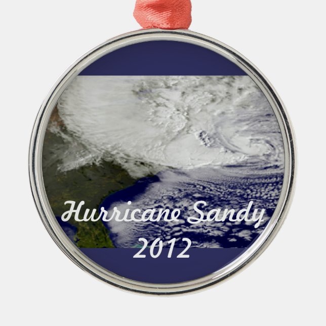 Hurricane Sandy 2012 Metal Tree Decoration (Front)