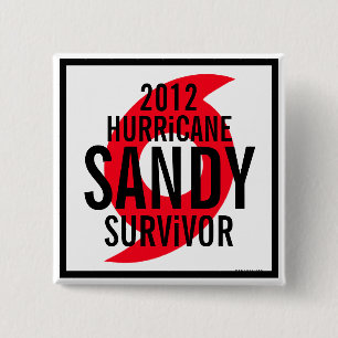 Hurricane Sandy Survivor 2012 Button 1