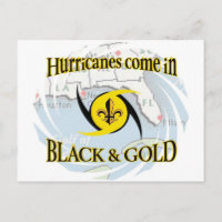 Hurricanes in Black & Gold