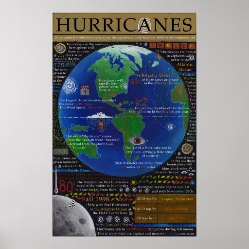 Hurricanes Poster Zazzle