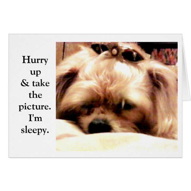 Hurry Up (Front Horizontal)