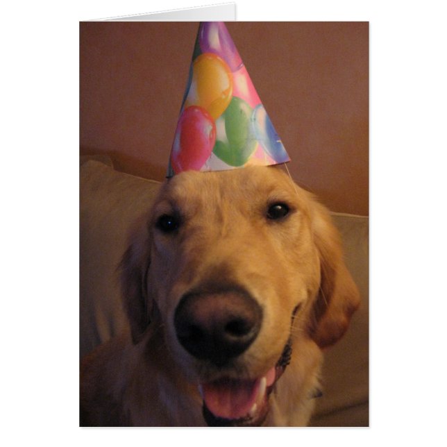 Hurry Up and Eat (Front)