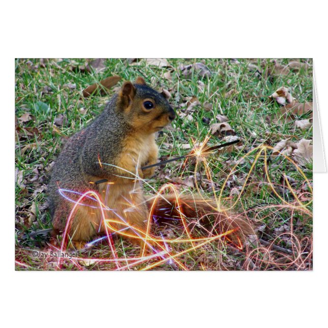 Husband Anniversary Love Squirrel Sparkler (Front Horizontal)