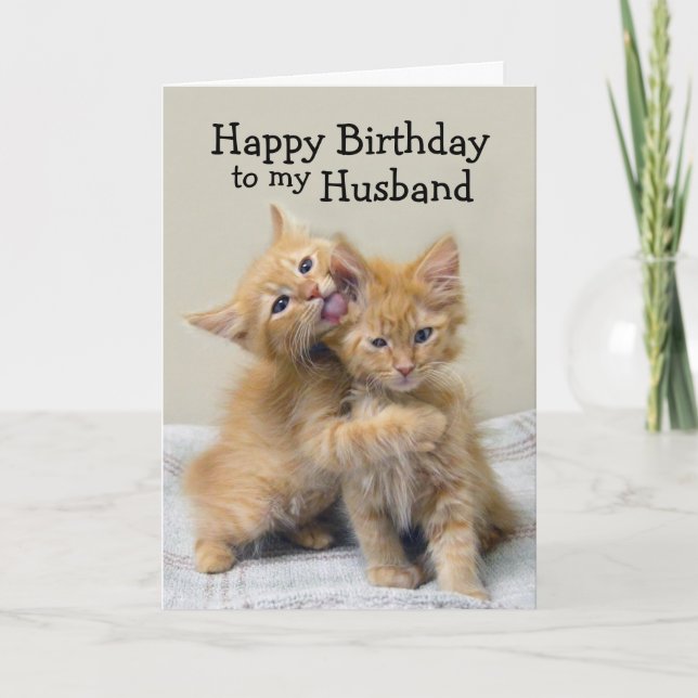 Husband Happy Birthday Orange Kittens Card (Front)