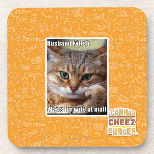 Husband Kitteh Coaster