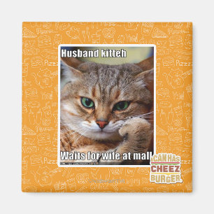Husband Kitteh Magnet
