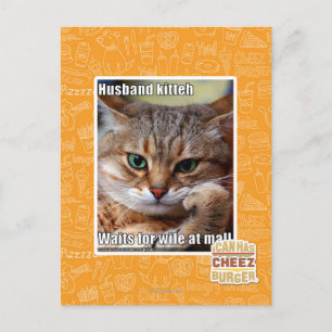 Husband Kitteh Postcard