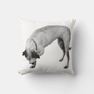 Hush-and-Grin Terrier Cushion