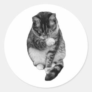 Hush-Tail Companion Classic Round Sticker