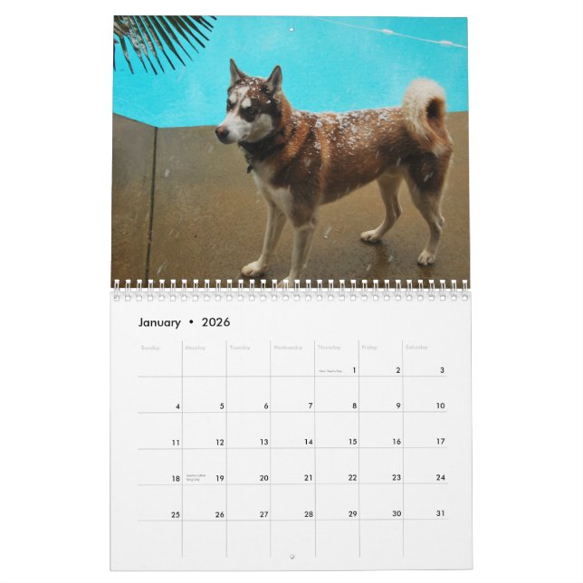 Huskies 2010 calendar (Jan 2026)