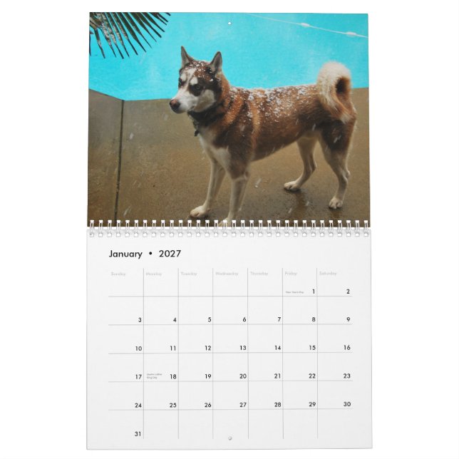 Huskies 2010 calendar (Jan 2027)