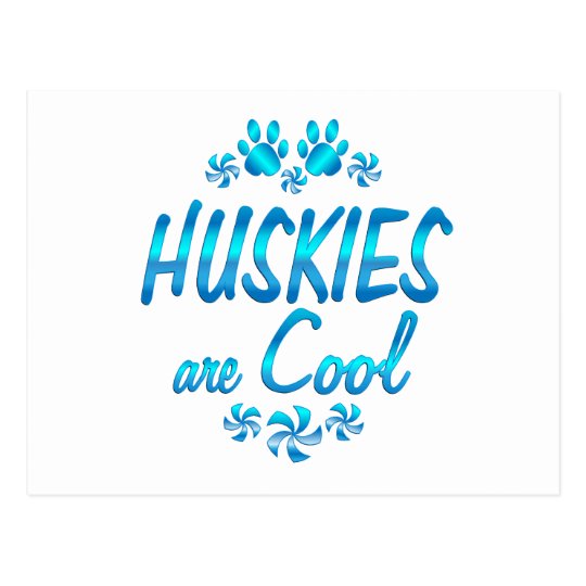 Huskies are Cool Postcard
