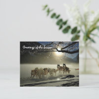 Huskies Husky Holiday Sled Dog Christmas Postcard
