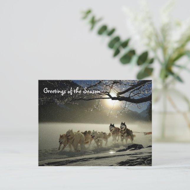 Huskies Husky Holiday Sled Dog Christmas Postcard (Standing Front)