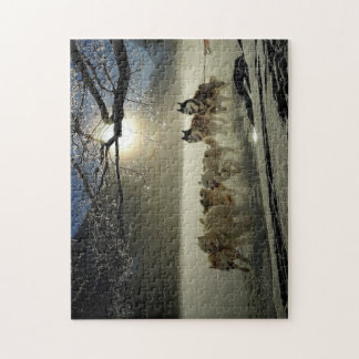 Huskies In The Snow Jigsaw Puzzle