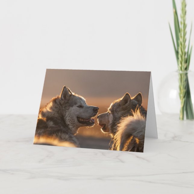 Huskies Photo Card (Front)