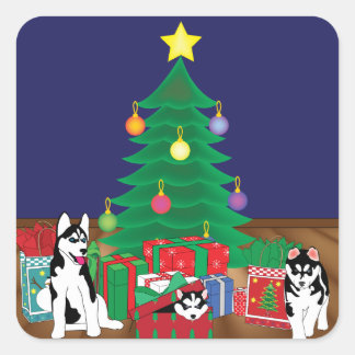 Huskies Playing Underneath the Christmas Tree Card Square Sticker