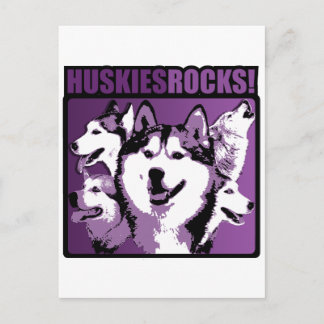 Huskies Rock! Postcard