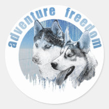 Husky Abenteuer Freiheit Schnee HuskyARTist