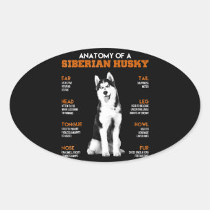 Husky   Anatomy Of Siberian Husky Dogs Oval Sticker