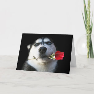 Husky and Rose Valentine/Tango Dog Holiday Card