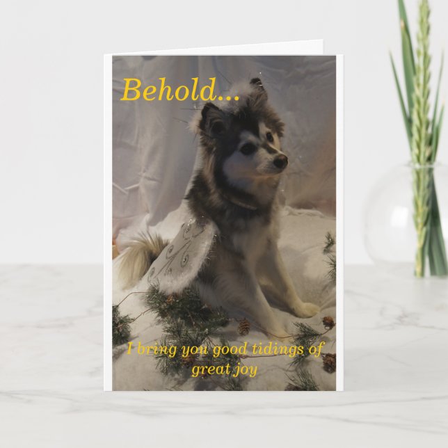 Husky Angel Christmas Card (Front)