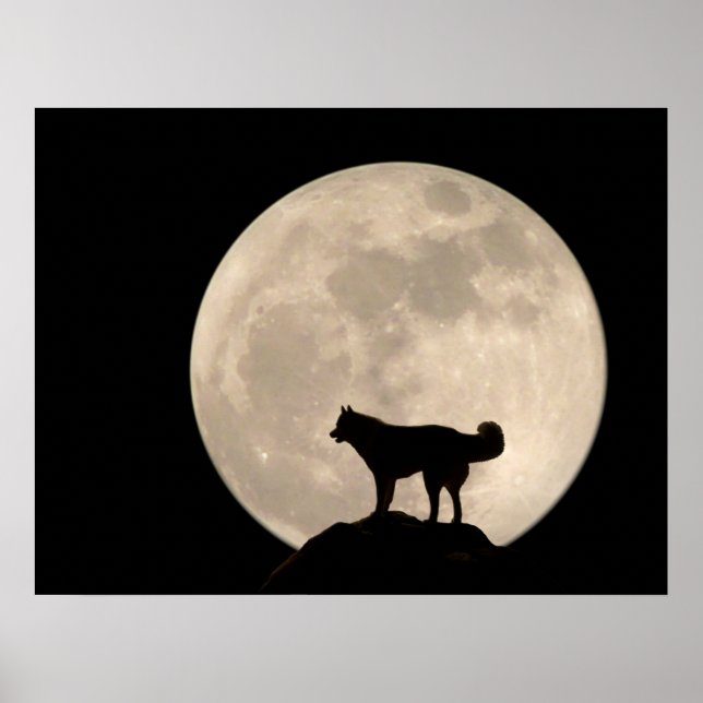 Husky Art Print Sled Dog Art Poster Husky Gifts (Front)