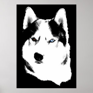 Husky Art Print Sled Dog Art Poster Husky Gifts