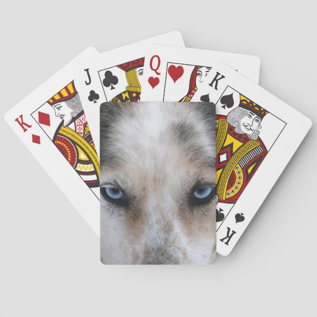 Husky blue eyes playing cards deck (Back)