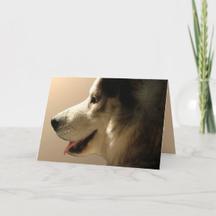 Husky Card Alaskan Malamute Card Personalised