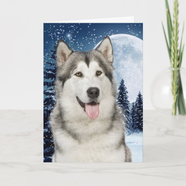 Husky Christmas Card (Front)