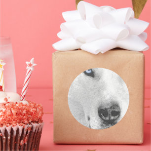 Husky Classic Round Sticker