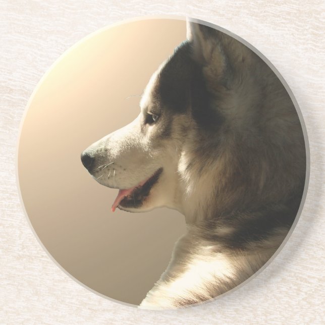 Husky Coaster Custom Husky Puppy Dog Coaster (Front)