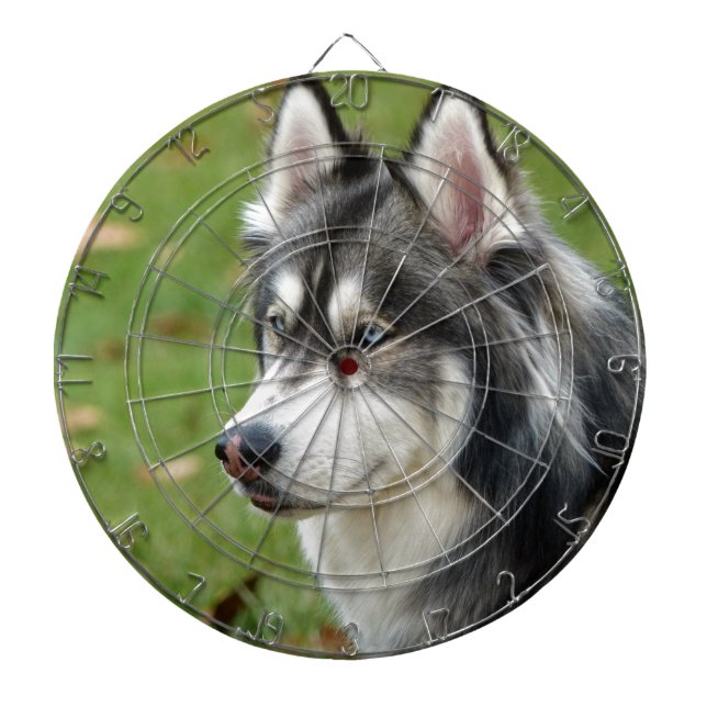 Husky Dartboard (Front)
