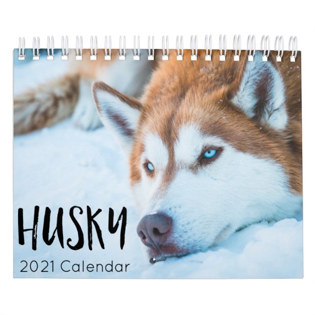 husky dog 2023 calendar (Cover)