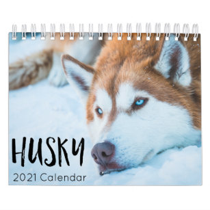 husky dog 2023 calendar