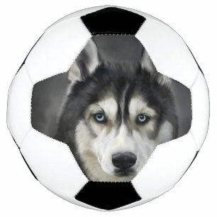 Husky Dog Big Dog Animal Pet Football