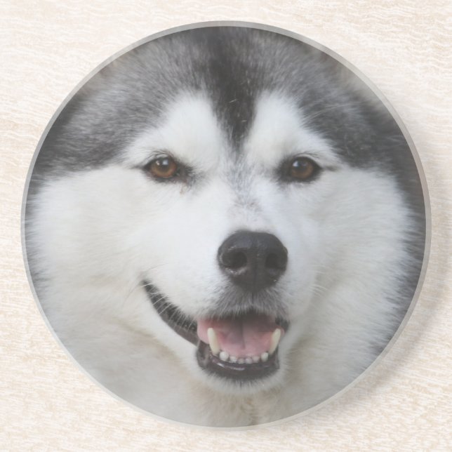 Husky Dog Coasters (Front)