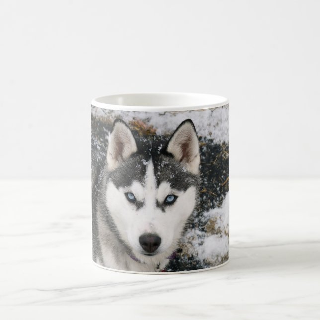 Husky dog coffee mug (Center)