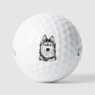 Husky dog  golf balls