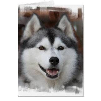 Husky Cards & Invitations | Zazzle.co.uk