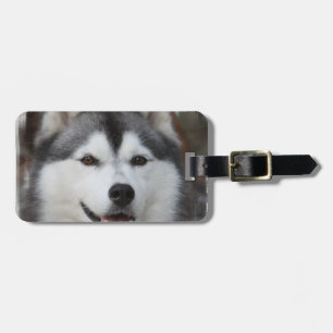 Husky Dog  Luggage Tag