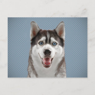 Husky Dog Monogram Photograph Postcard