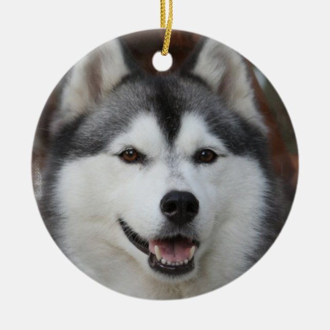 Husky Dog Ornament (Front)