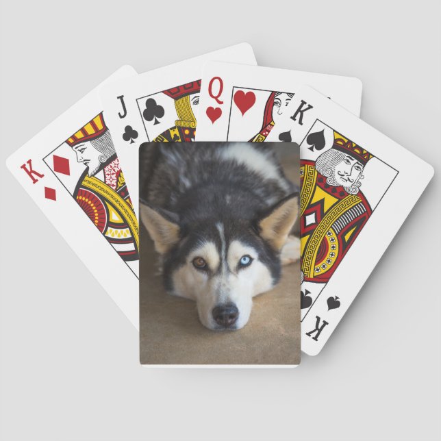 Husky Dog Playing Cards (Back)