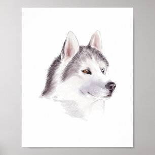 Husky Dog poster / animal posters